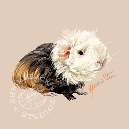 Hamilton Portrait