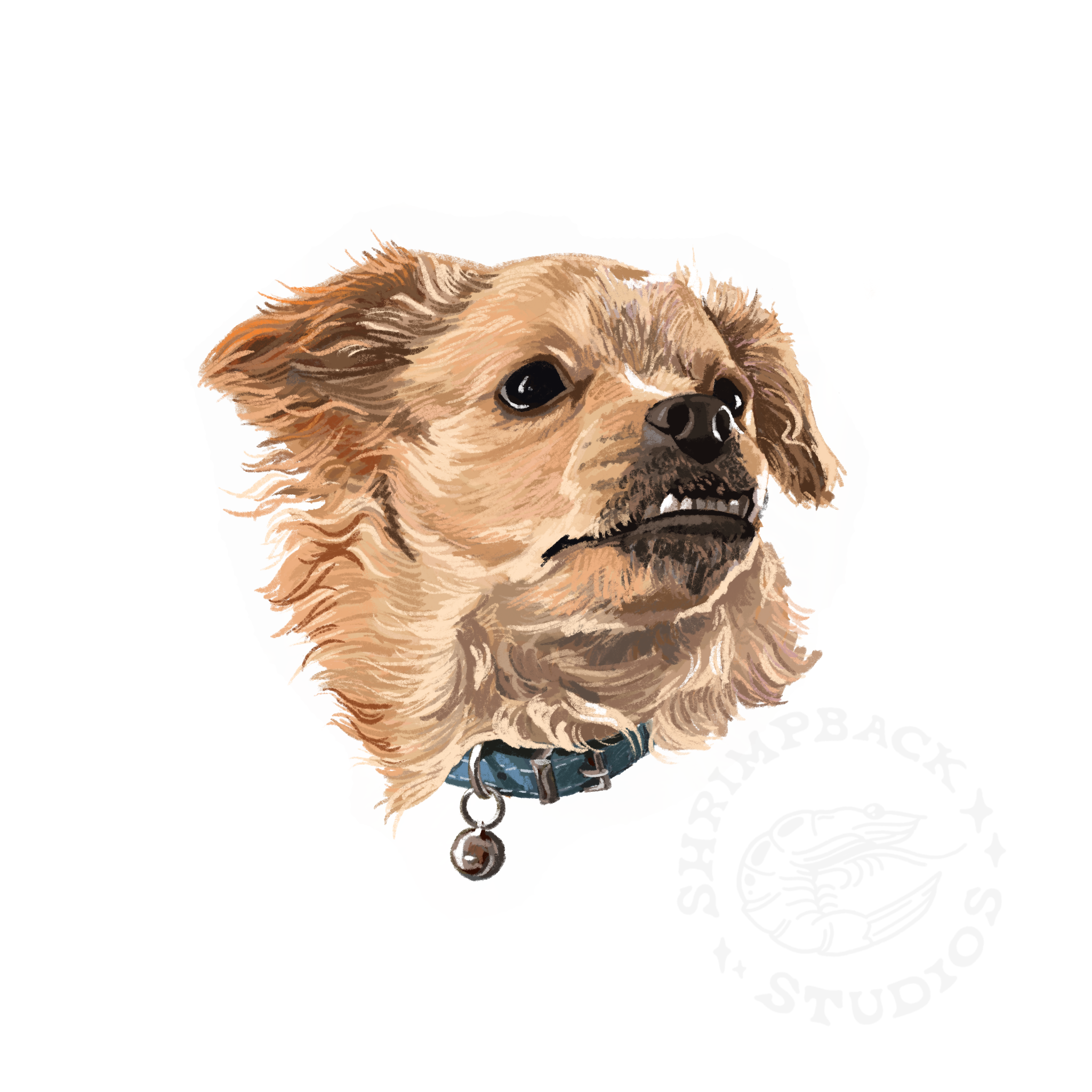 Custom Pet Portrait
