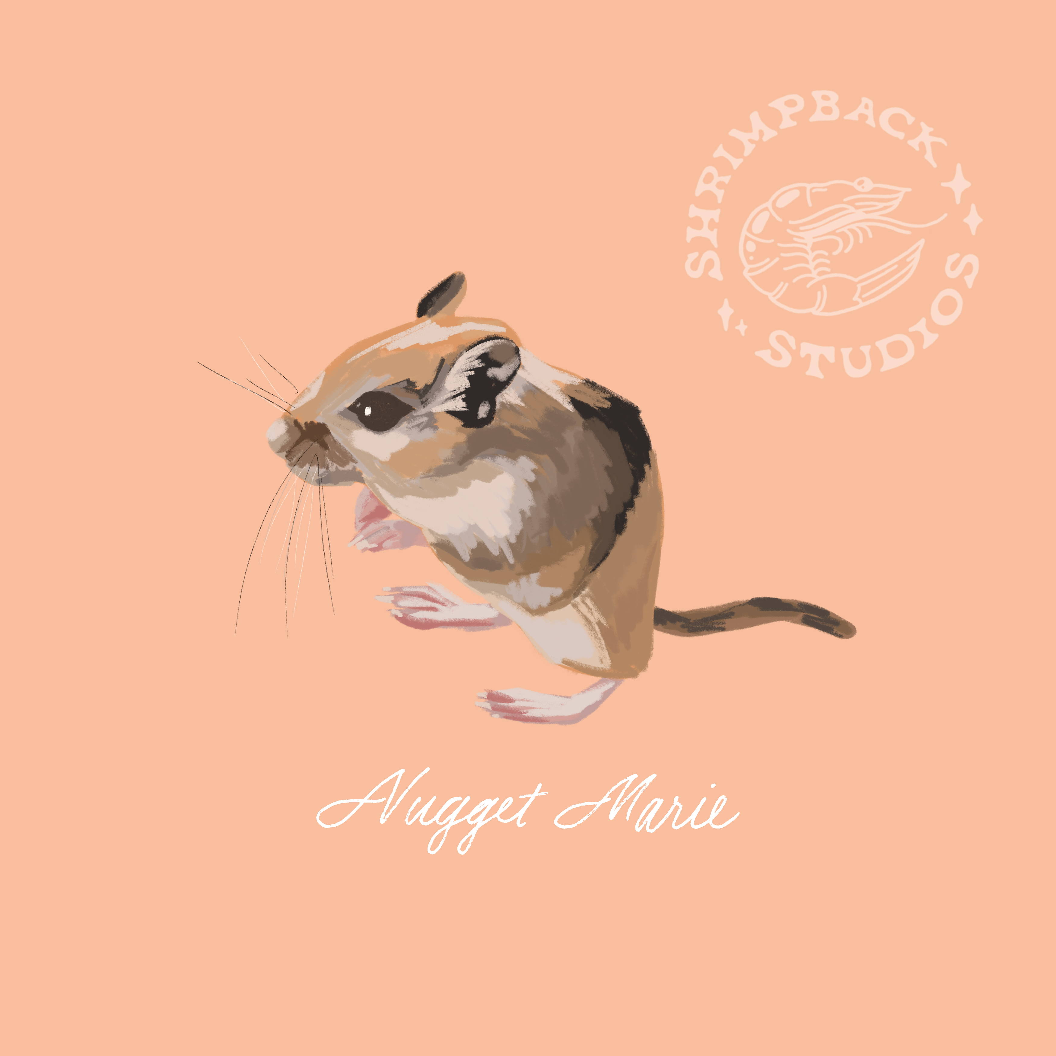 Custom Pet Portrait