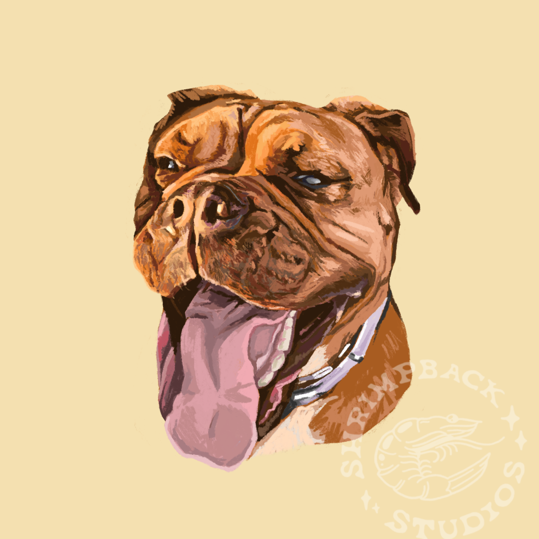 Custom Pet Portrait